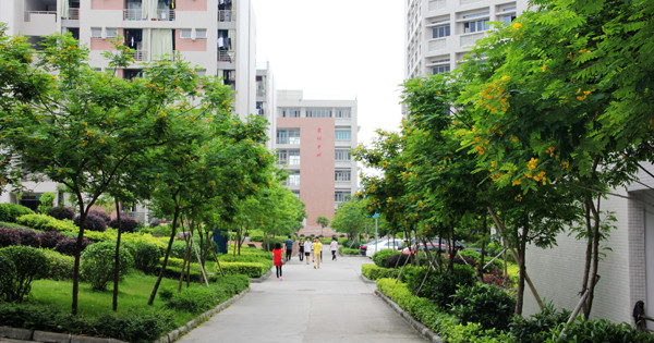 广州汽修职业技工学校(图3)