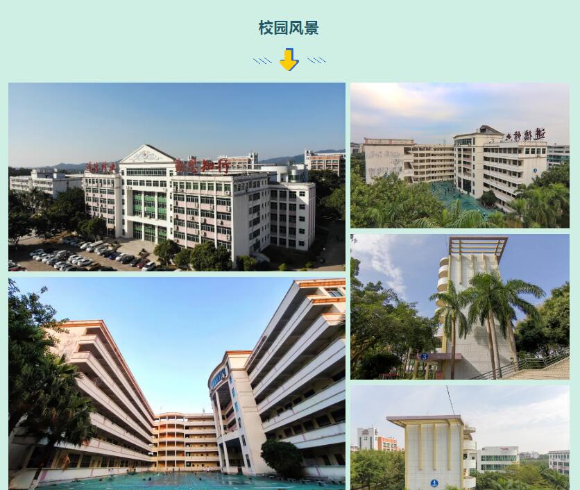 广州应用科技学院南粤学院(图13)