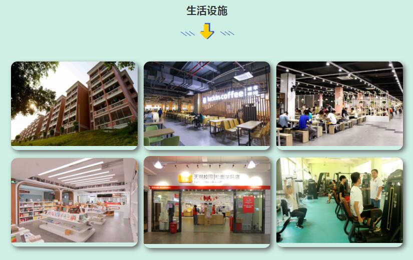 广州应用科技学院南粤学院(图15)